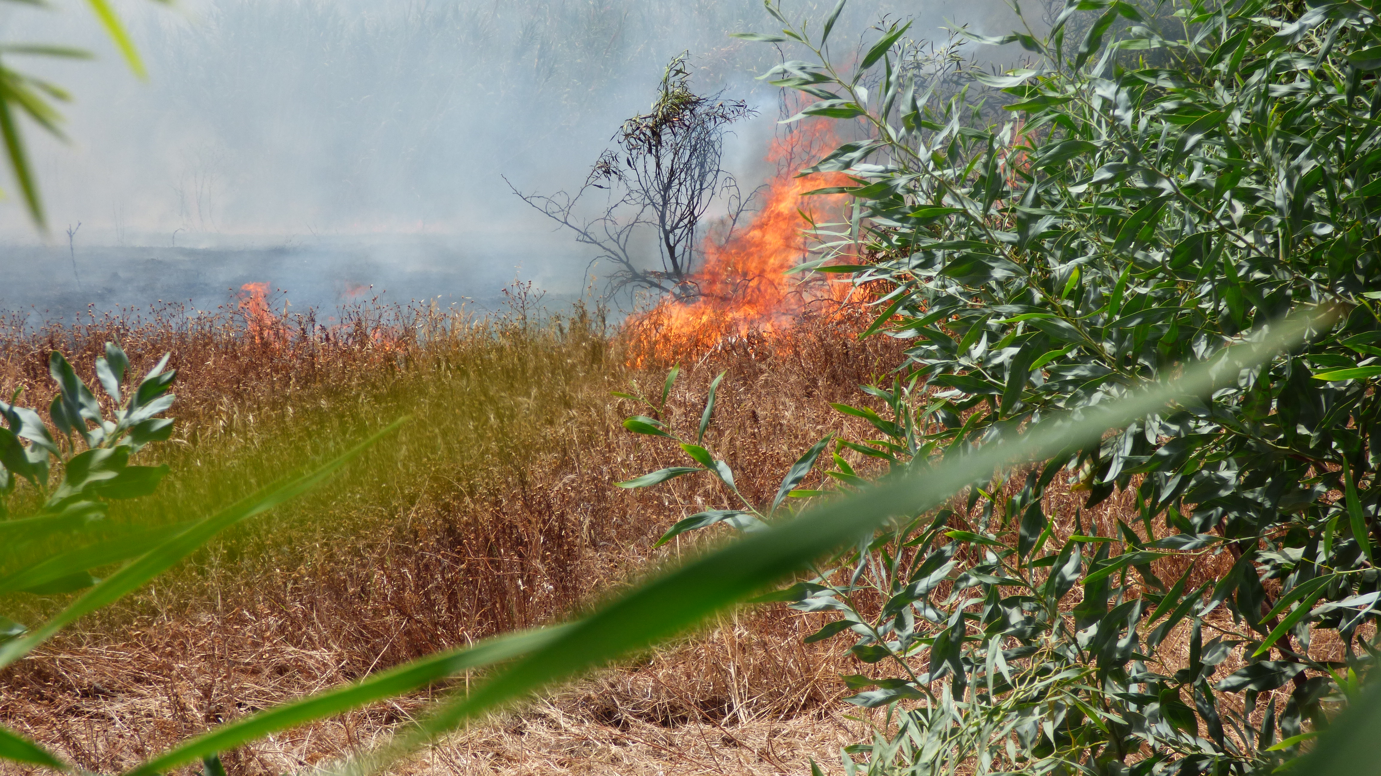 Incendio en la ampliación de Teatinos